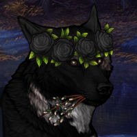 Wolf Headshot