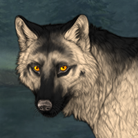 Wolf Headshot