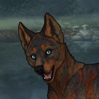 New Puppy Headshot