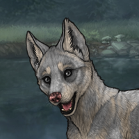 Enclave Puppy Headshot