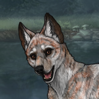 Sidhe Rust Pup Headshot