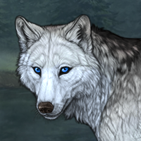 Wolf Headshot