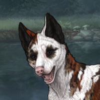 Piebald Headshot