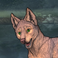 New Puppy Ark Headshot