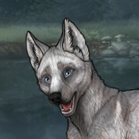 Snowwolf Headshot