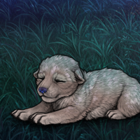 Opalite pup 5 enclave Headshot