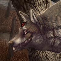 Wolf Headshot