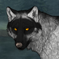 Wolf Headshot