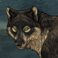 Wolf Headshot