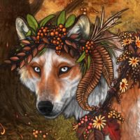 Wolf Headshot