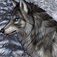Wolf Headshot