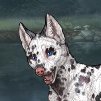 G3 T2 Dalmatian!! Headshot