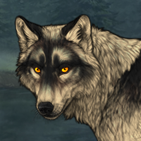 Wolf Headshot