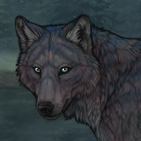 Shikra II Headshot