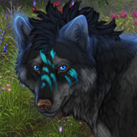 Wolf Headshot