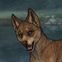 New Puppy Headshot