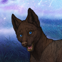 Brown blue eye pup female Headshot