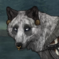 Cunning Bear Headshot