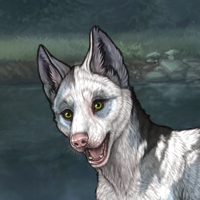 Piebald Headshot