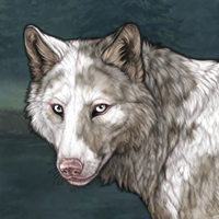 Piebald  m Headshot