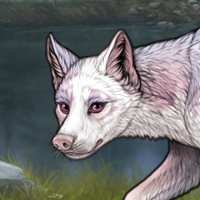 Piebald: Torn Headshot