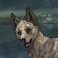 Warm gray! Headshot