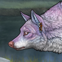 Wolf Headshot