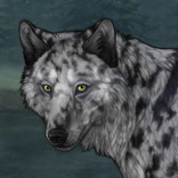 Bardawulf Headshot