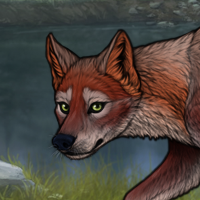 Enclave - T2 F Rufous Headshot