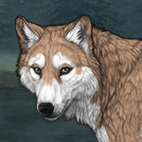 𝕶𝖆𝖊𝖑𝖎𝖓 Headshot