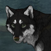 Sal Headshot