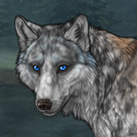 Ripplepelt (Stalker) ` Headshot