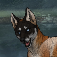 t2 husky eye Headshot