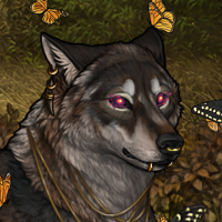 Wolf Headshot
