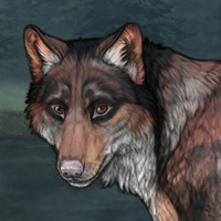 Thymian Headshot