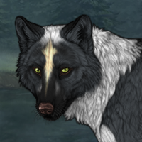 Wolf Headshot