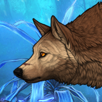 Wolf Headshot