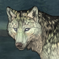 Selkie Headshot