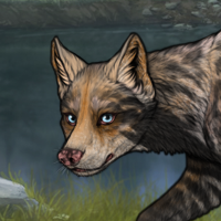 Silas Headshot