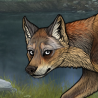 Silversall fox Headshot