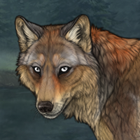 Silversall fox Headshot