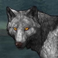 Wolf Headshot