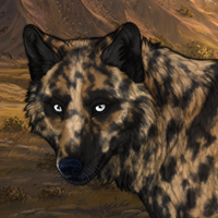 Milo Headshot