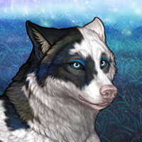 ^` A MoonLit Night `^ Headshot