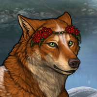 Wolf Headshot
