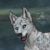 Husky Larimar Headshot