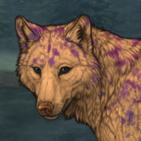 [Hu] Birches Headshot