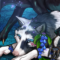 Wolf Headshot