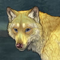 [Y][M]Solar Headshot