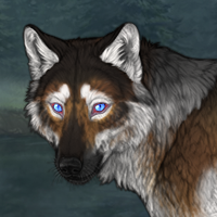 honeypaw Headshot